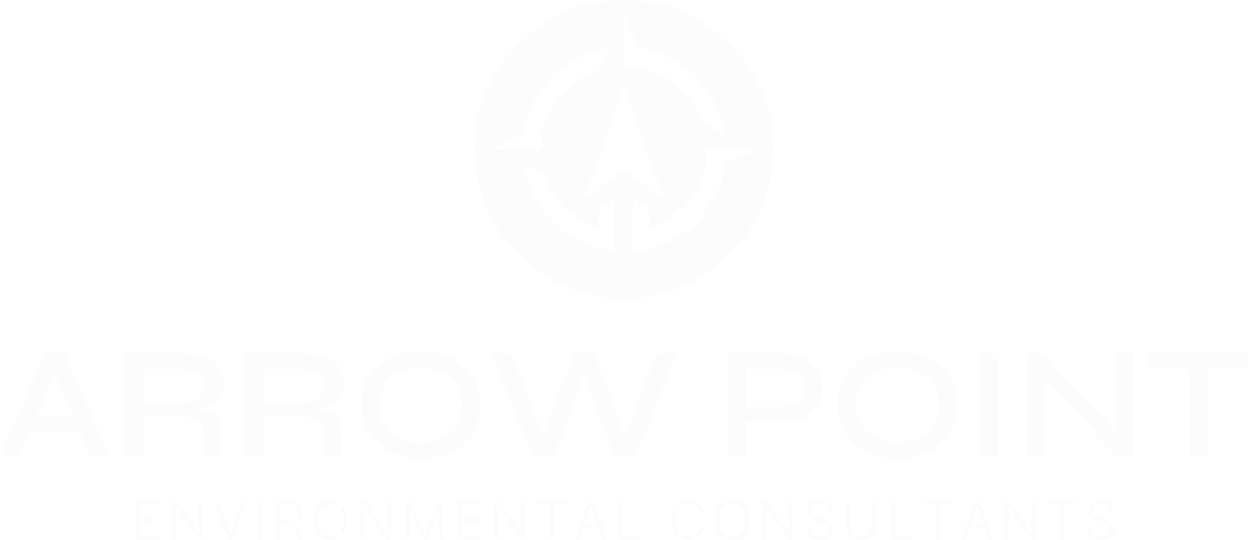 Arrow Point Environmental Consultants